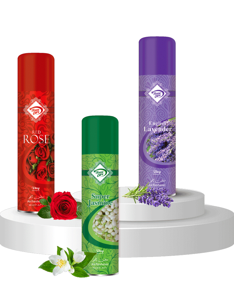 House Care Bruty Original Dry Air Freshener 300ml