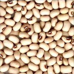 Desi Lobia 1kg