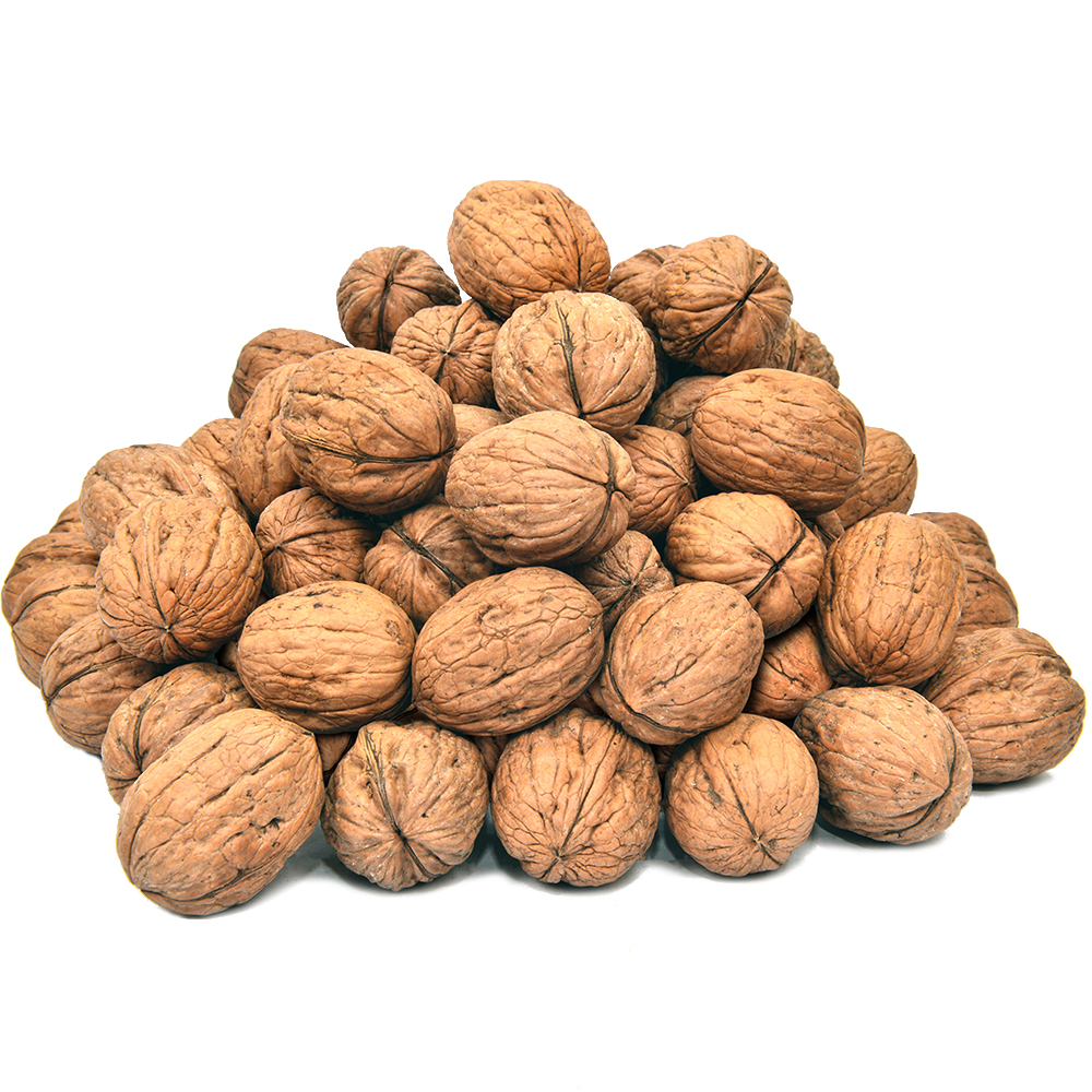 Akhrot Sabat (Walnut in Shell) 1kg